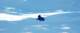 schwimmenimschnee_small.jpg