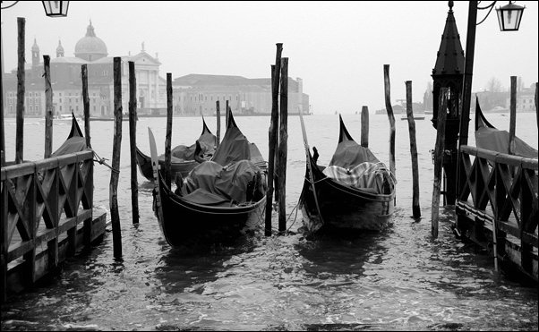 12-Gondoles, -Venezia.jpg