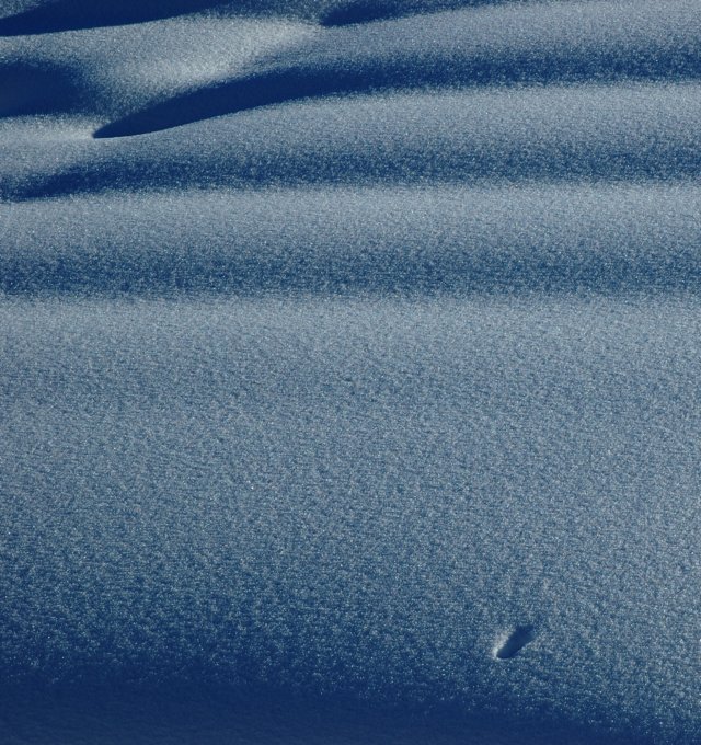 schnee2.jpg