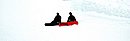 03-sboarders.jpg