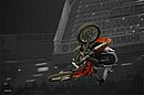 10b1-DSC_1351_freestyle.jpg